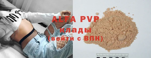 прущие грибы Абаза