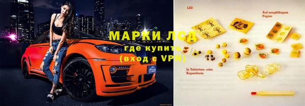 прущие грибы Абаза