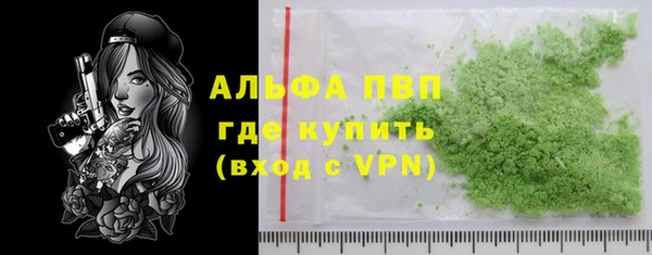 прущие грибы Абаза