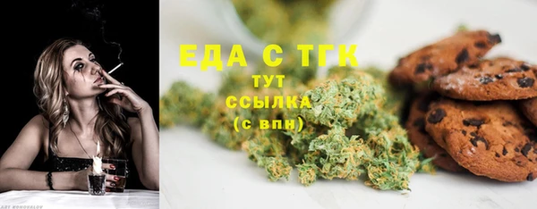 прущие грибы Абаза