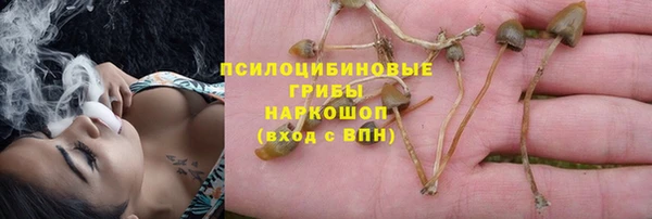 молекула духа Алексин