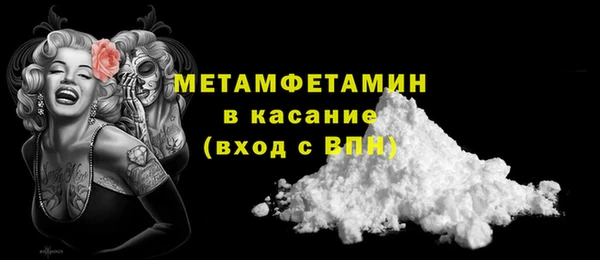 прущие грибы Абаза